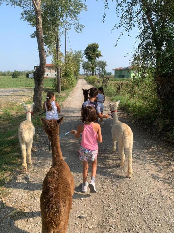Pirola Music Ranch Guest House B&B Romano di Lombardia Esterno foto