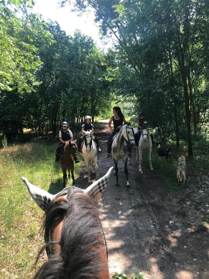 Pirola Music Ranch Guest House B&B Romano di Lombardia Esterno foto