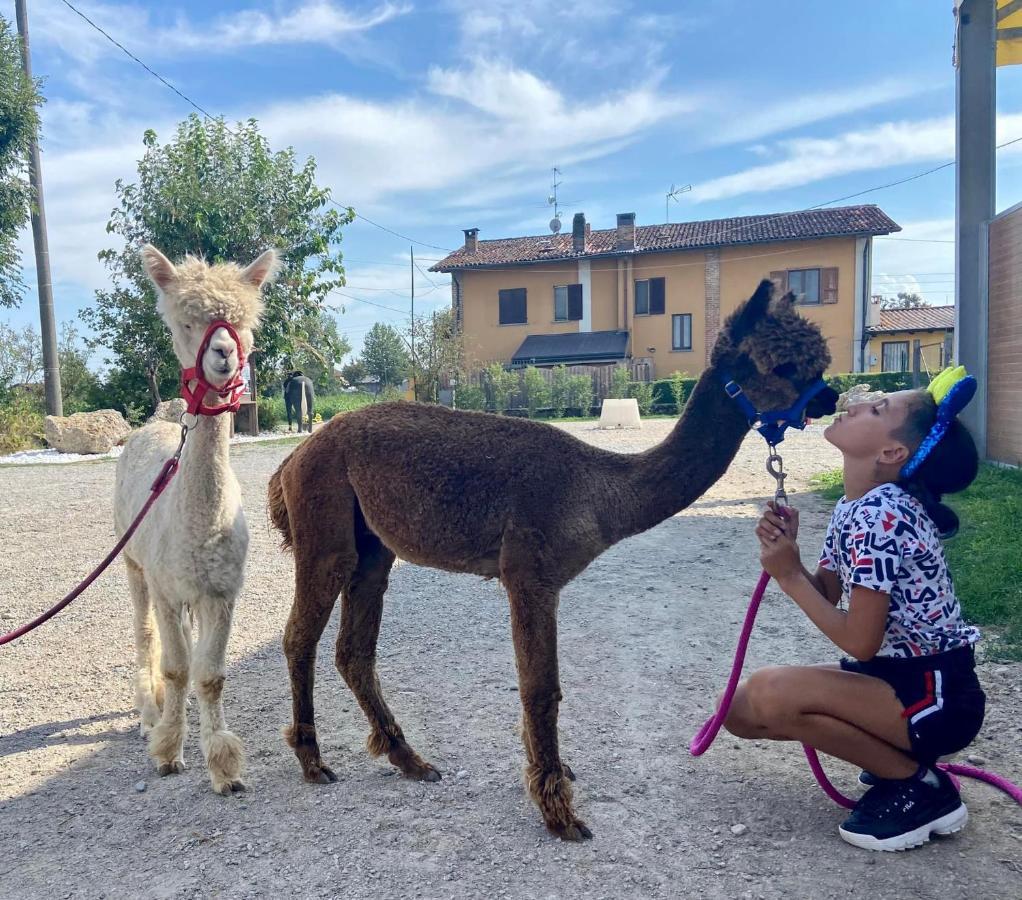 Pirola Music Ranch Guest House B&B Romano di Lombardia Esterno foto