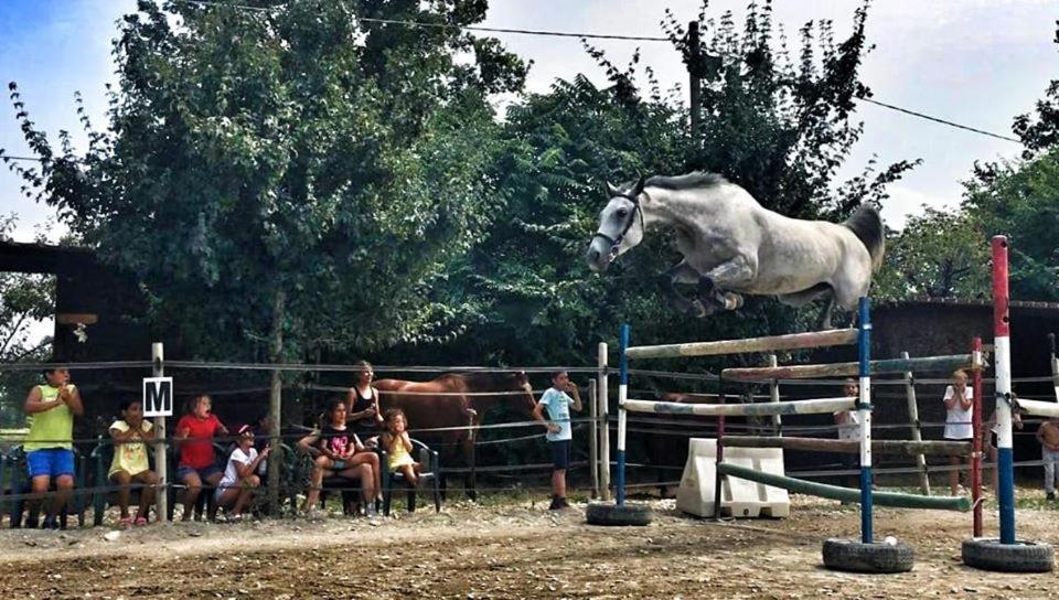 Pirola Music Ranch Guest House B&B Romano di Lombardia Esterno foto